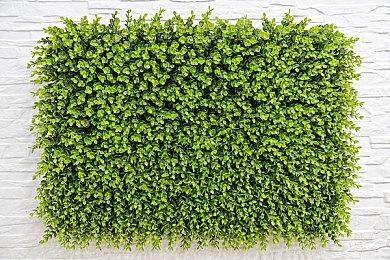 Capcom公布《街头霸王6》超模Manon角色资料